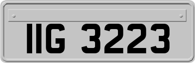 IIG3223
