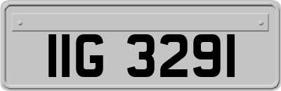 IIG3291