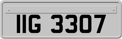 IIG3307