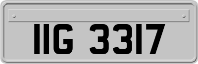 IIG3317