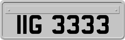 IIG3333