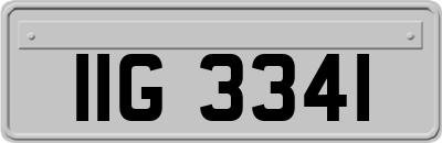 IIG3341