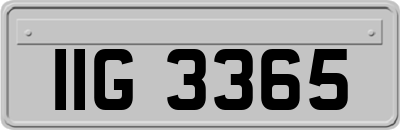 IIG3365