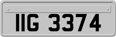 IIG3374