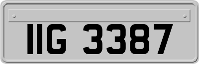IIG3387