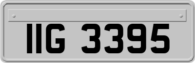 IIG3395