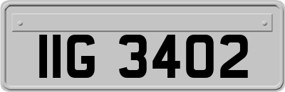 IIG3402