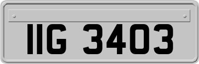 IIG3403