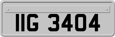 IIG3404