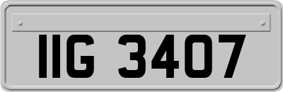 IIG3407