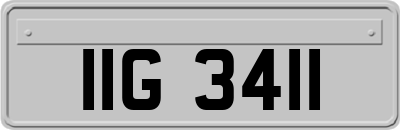 IIG3411
