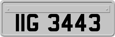 IIG3443
