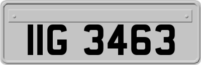 IIG3463