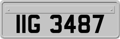 IIG3487