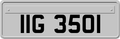 IIG3501