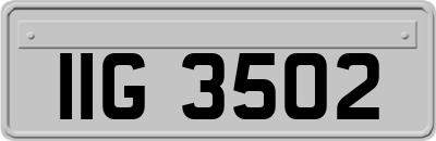 IIG3502