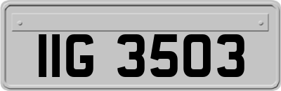 IIG3503