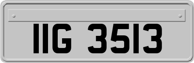 IIG3513