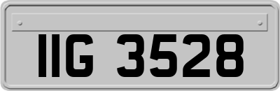 IIG3528