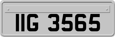 IIG3565