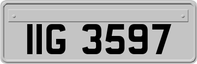 IIG3597