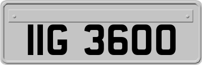 IIG3600