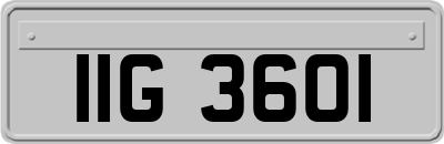 IIG3601