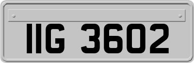 IIG3602