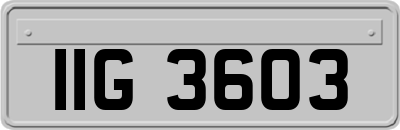 IIG3603