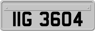 IIG3604