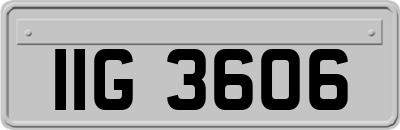 IIG3606