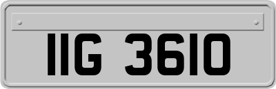 IIG3610