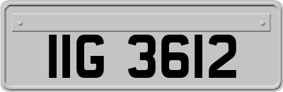 IIG3612