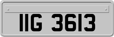 IIG3613