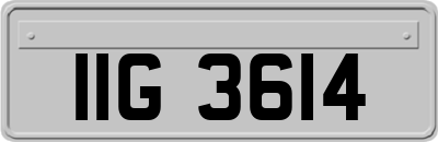 IIG3614