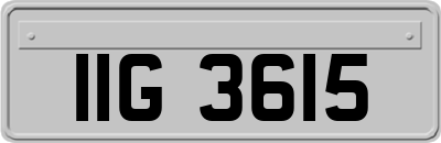 IIG3615
