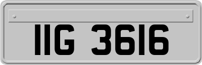 IIG3616