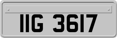 IIG3617