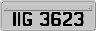 IIG3623