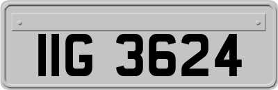 IIG3624