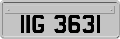 IIG3631