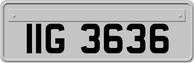 IIG3636