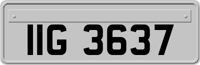 IIG3637