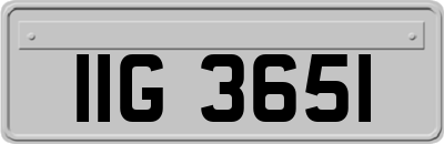 IIG3651