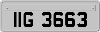 IIG3663