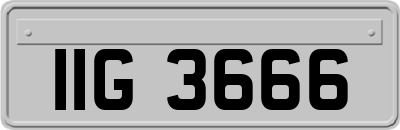 IIG3666