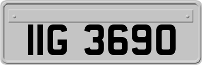 IIG3690