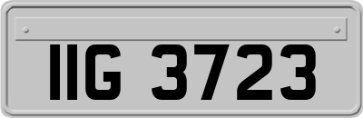 IIG3723