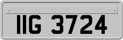 IIG3724