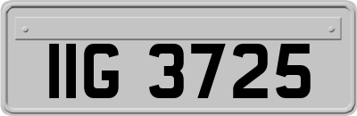 IIG3725